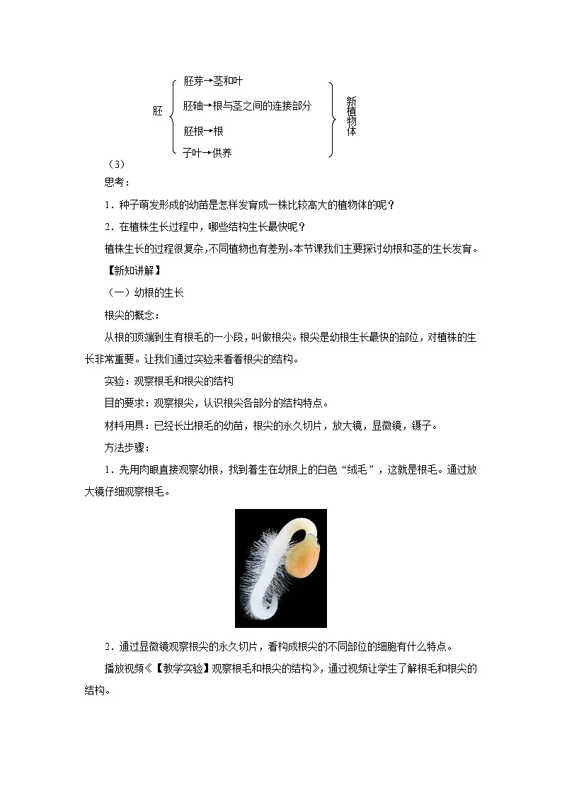 植株的生长 第1课时 教案 人教版（2024）生物学七年级下册第2页