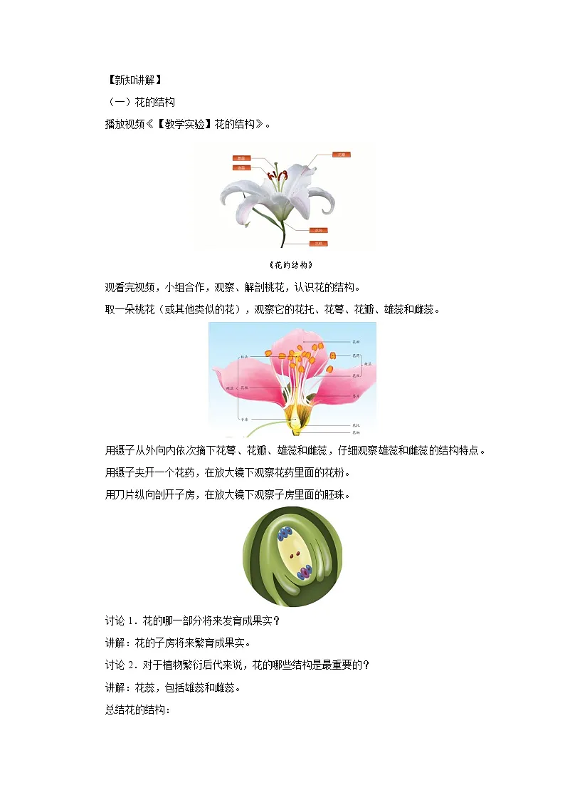 开花和结果 教案 生物人教版（2024）七年级下册第2页
