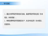 第三节 呼吸作用 课件 生物人教版（2024）七年级下册