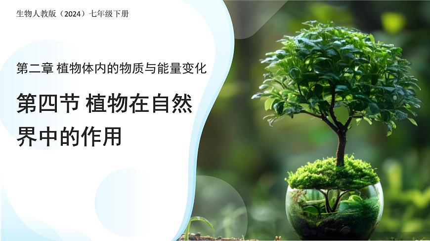 第四节 植物在自然界中的作用 课件 生物人教版（2024）七年级下册第1页