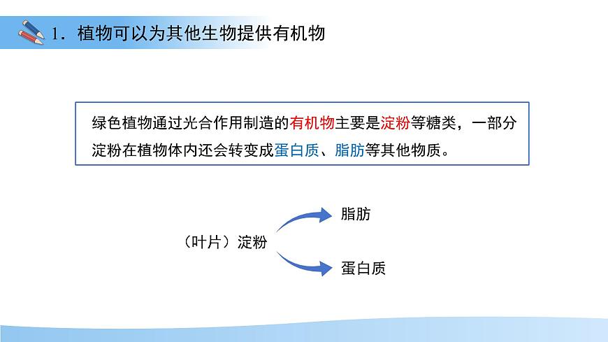 第四节 植物在自然界中的作用 课件 生物人教版（2024）七年级下册第4页