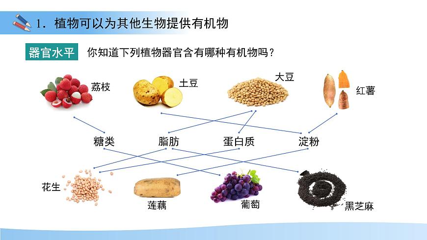 第四节 植物在自然界中的作用 课件 生物人教版（2024）七年级下册第7页