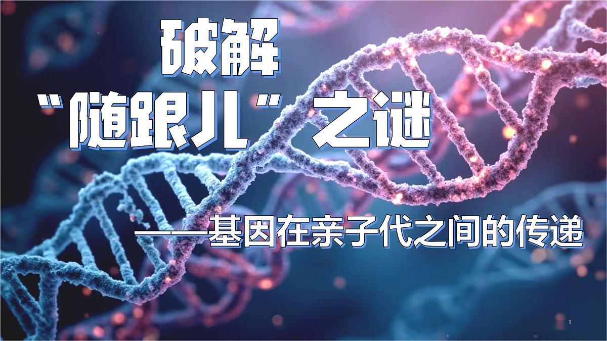 7.2.2 基因在亲子代间的传递 课件 2025学年人教版生物八年级下册第1页