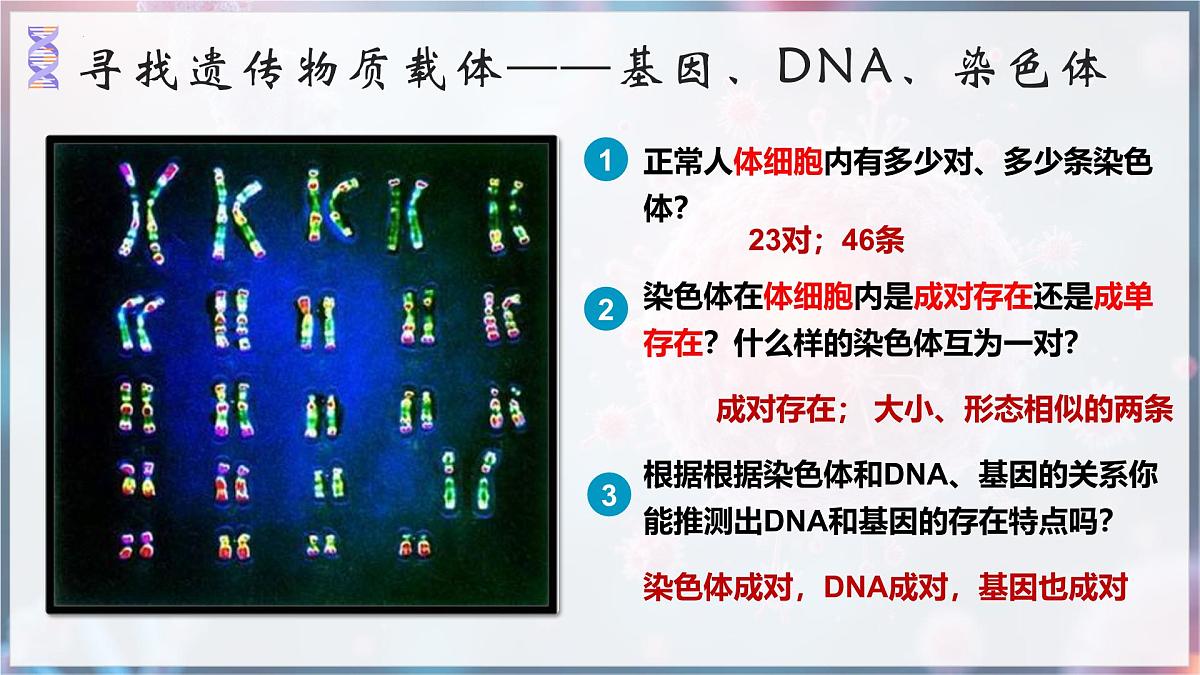 7.2.2 基因在亲子代间的传递 课件 2025学年人教版生物八年级下册第7页