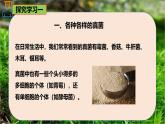 6.1.3 真菌-七年級生物下冊同步精品課堂（魯科版五四學制） 課件