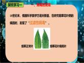 6.2 病毒-七年級生物下冊同步精品課堂（魯科版五四學(xué)制） 課件