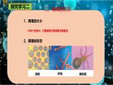 6.2 病毒-七年級生物下冊同步精品課堂（魯科版五四學(xué)制） 課件