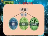 6.2 病毒-七年級生物下冊同步精品課堂（魯科版五四學(xué)制） 課件