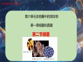 6.1.2 細(xì)菌-七年級(jí)生物下冊(cè)同步精品課堂（魯科版五四學(xué)制） 課件