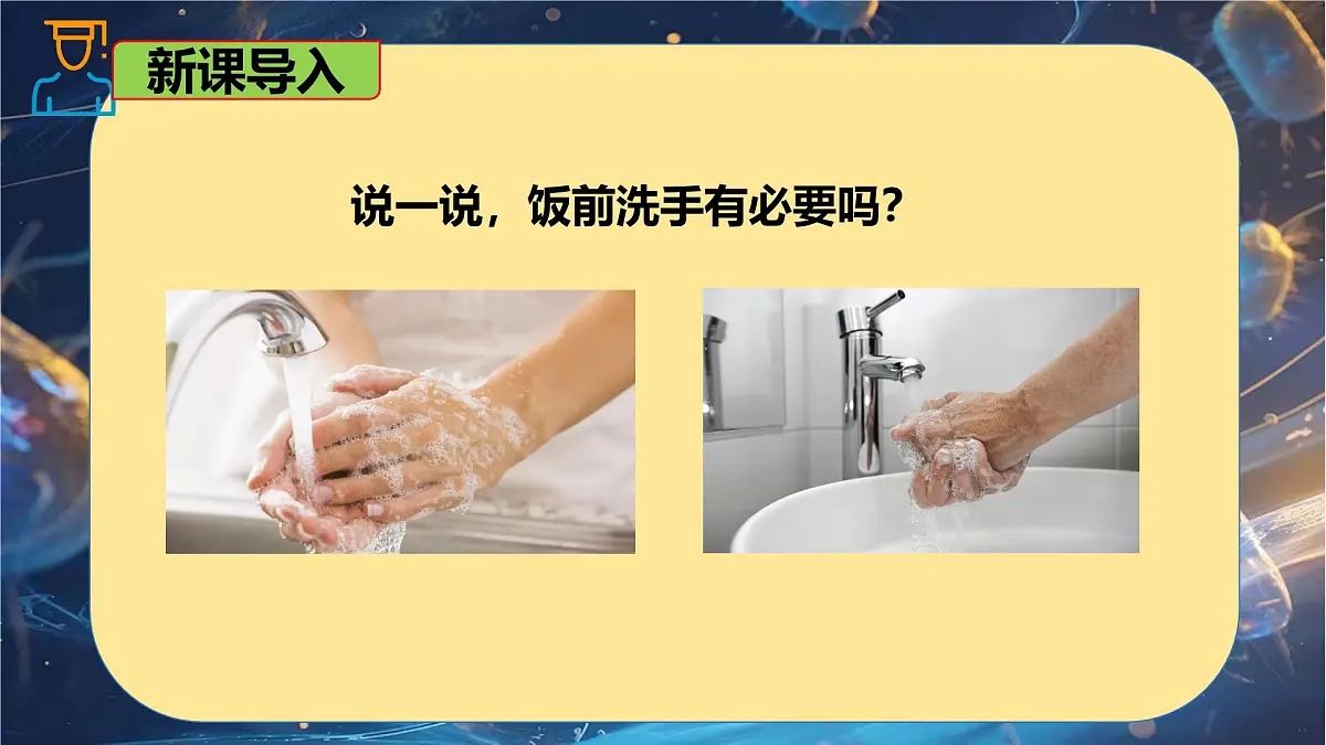 6.1.2 细菌-七年级生物下册同步精品课堂（鲁科版五四学制） 课件第3页