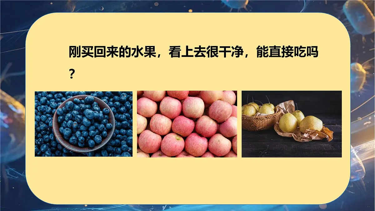 6.1.2 细菌-七年级生物下册同步精品课堂（鲁科版五四学制） 课件第4页