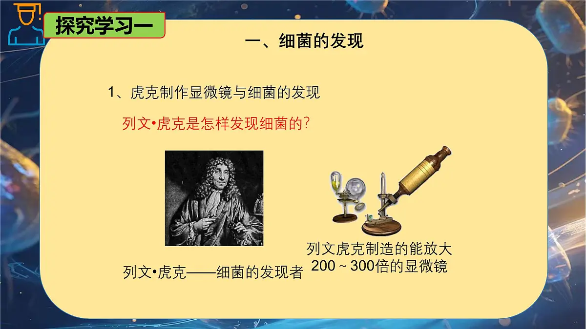 6.1.2 细菌-七年级生物下册同步精品课堂（鲁科版五四学制） 课件第5页