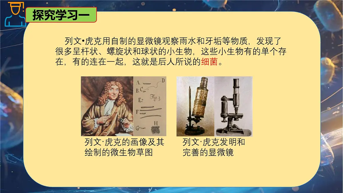 6.1.2 细菌-七年级生物下册同步精品课堂（鲁科版五四学制） 课件第6页