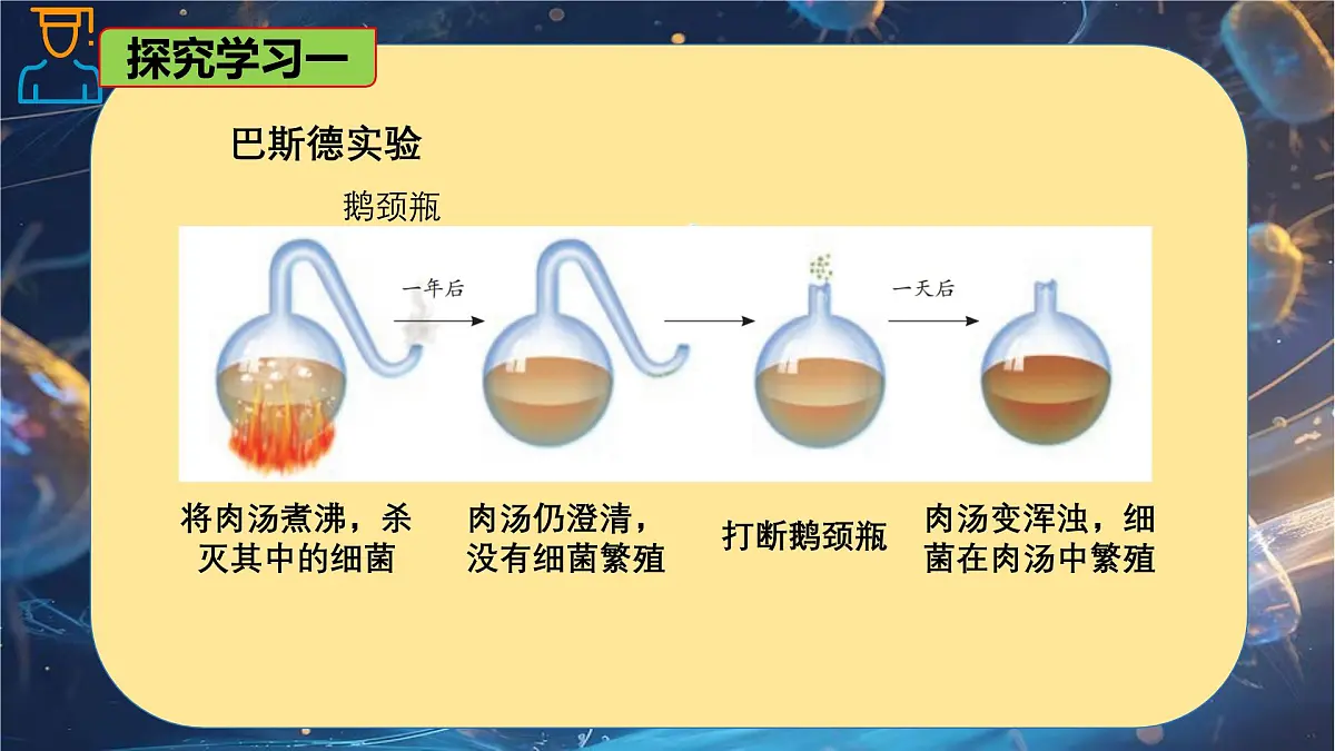 6.1.2 细菌-七年级生物下册同步精品课堂（鲁科版五四学制） 课件第8页