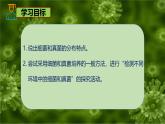 6.1.1 細(xì)菌和真菌的分布-七年級(jí)生物下冊(cè)（魯科版五四學(xué)制） 課件
