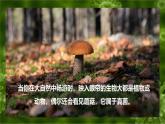 6.1.1 細(xì)菌和真菌的分布-七年級(jí)生物下冊(cè)（魯科版五四學(xué)制） 課件
