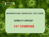 6.1.1 細(xì)菌和真菌的分布-七年級(jí)生物下冊(cè)（魯科版五四學(xué)制） 課件