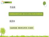 5.1.1 傳染病及其預(yù)防-七年級(jí)生物下冊(cè)同步精品課堂（魯科版五四學(xué)制） 課件