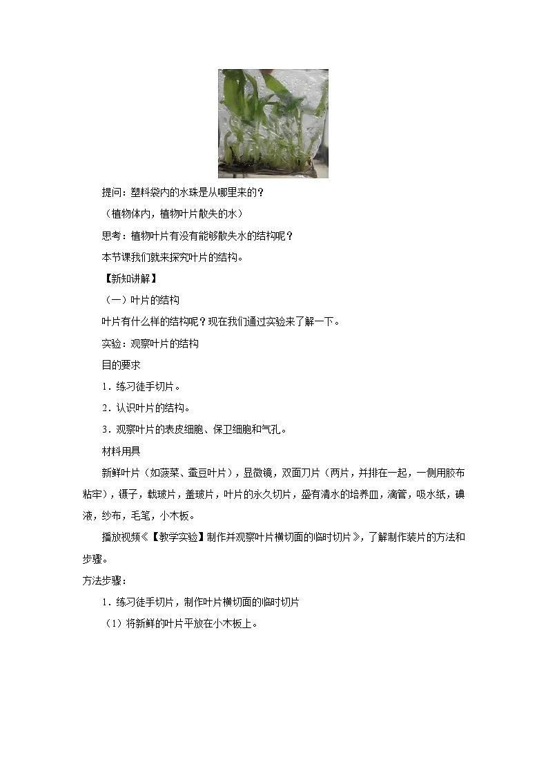 水的利用与散失 （共2课时）教案 生物人教版（2024）七年级下册第2页