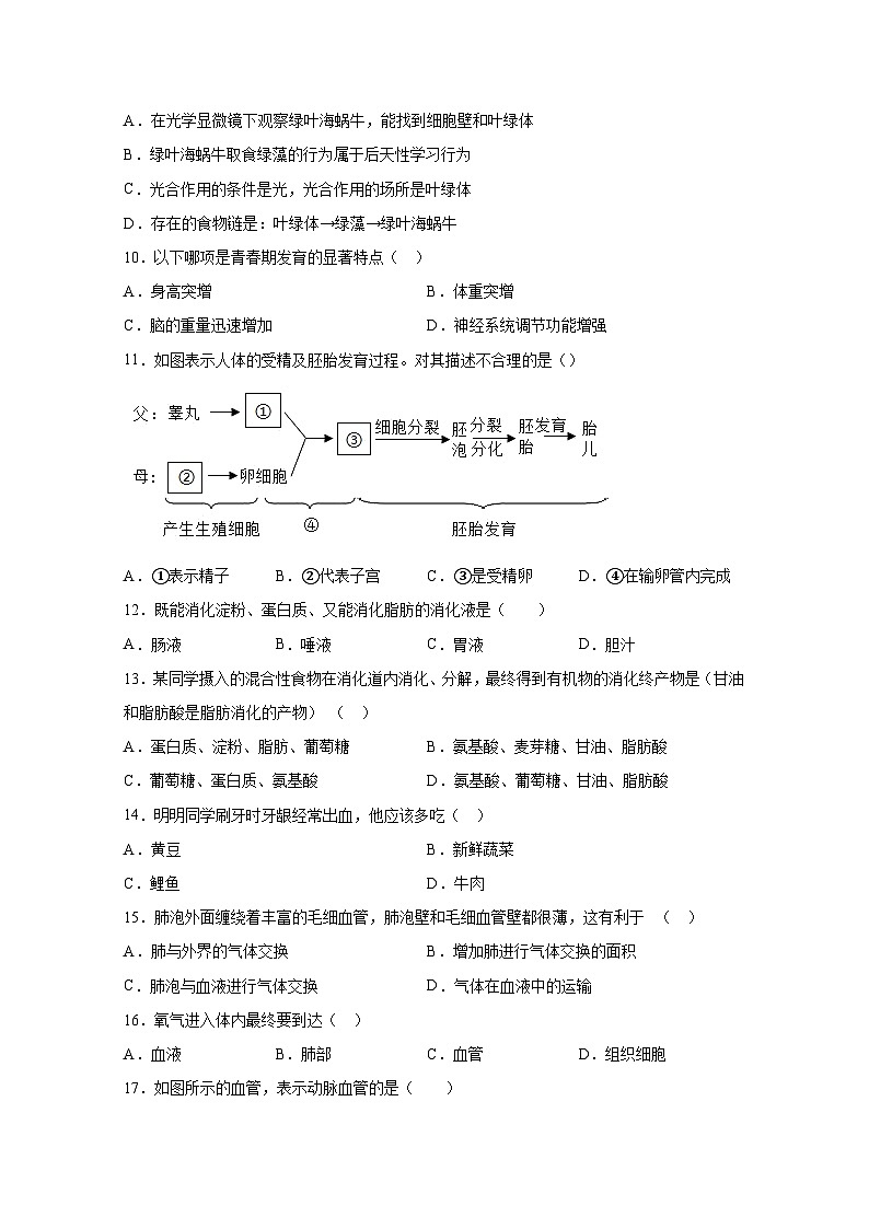 （云南省专用）2025届中考生物仿真模拟模拟试卷（一模）合集2套（含解析）第3页
