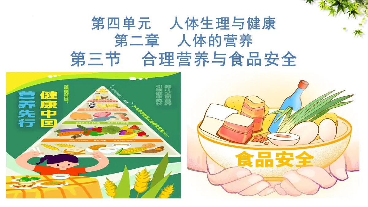 4.2.3合理营养与食品安全课件 2025学年人教版生物七年级下册第1页