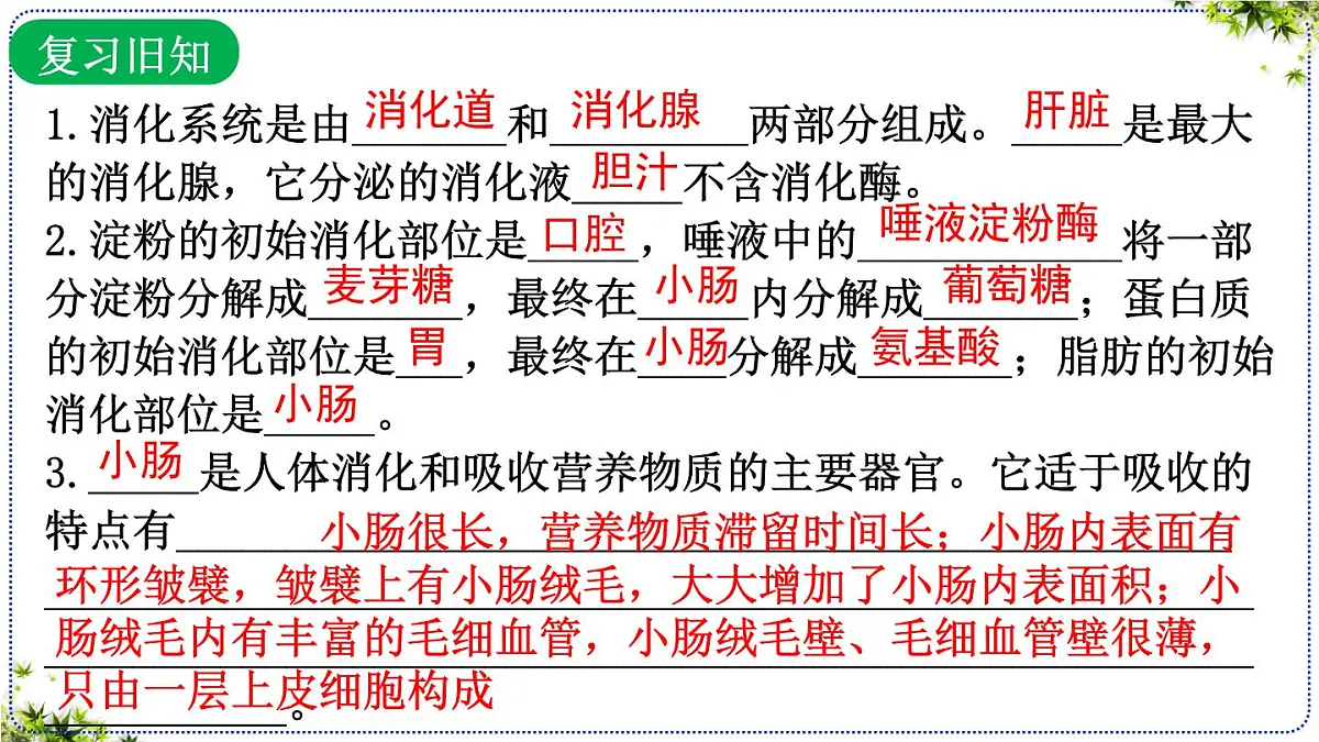 4.2.3合理营养与食品安全课件 2025学年人教版生物七年级下册第2页
