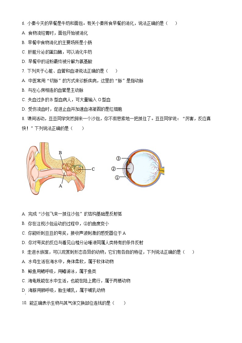 2025年甘肃省定西市安定区城区联考中考一模生物试题（原卷版+解析版）第2页