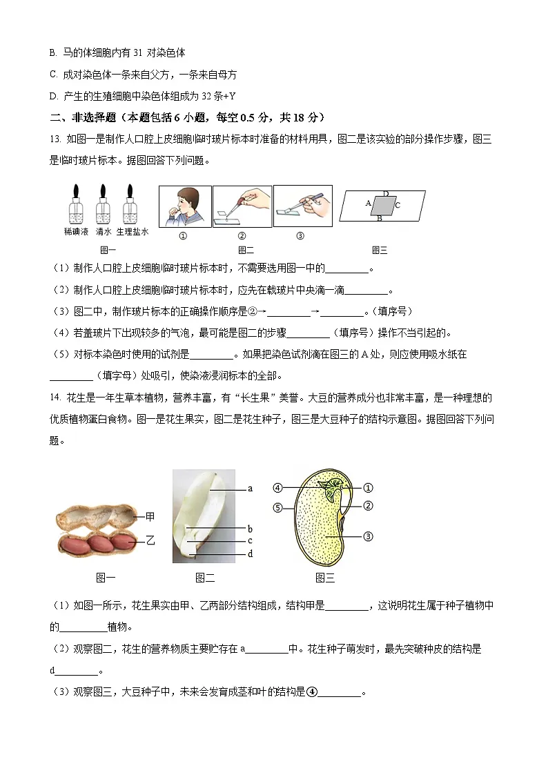 2025年辽宁省沈阳市浑南区中考零模生物试题（原卷版+解析版）第3页