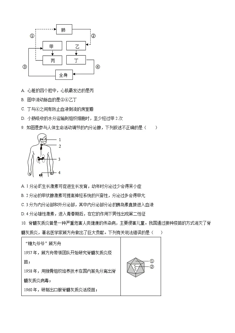 2025年山东省东明县中考一模生物试题（原卷版+解析版）第3页