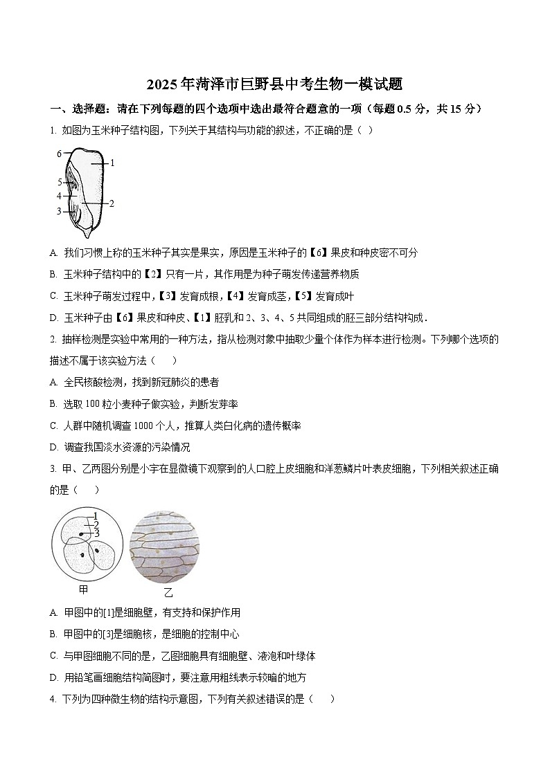 2025年山东省菏泽市巨野县中考生物一模试题（原卷版+解析版）第1页