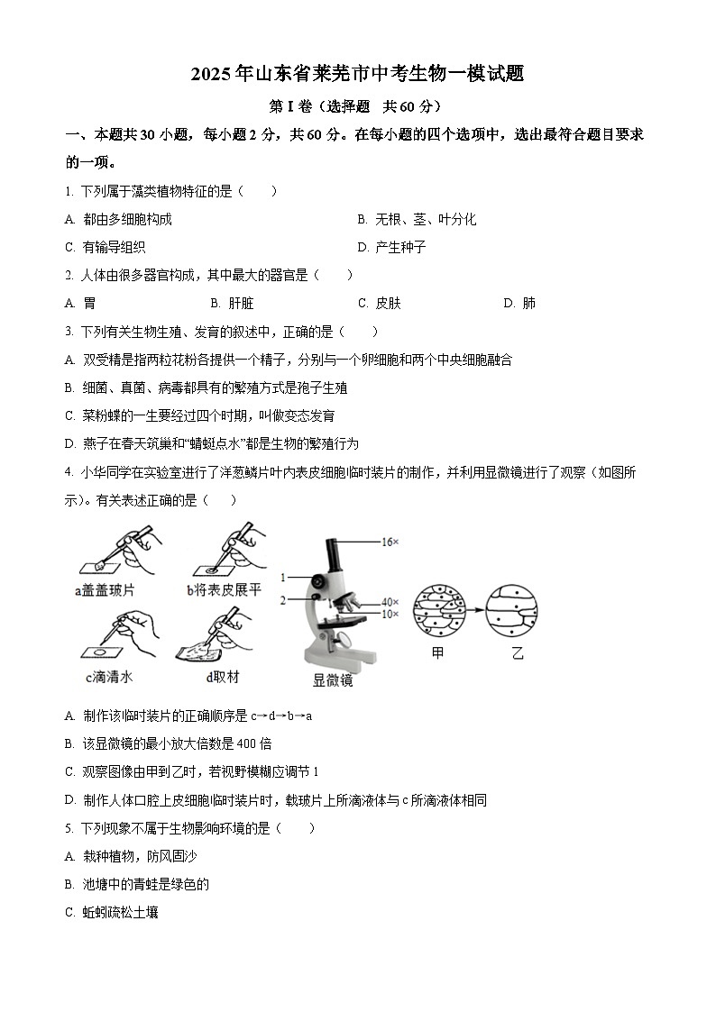 2025年山东省莱芜市中考一模生物试题（原卷版+解析版）第1页