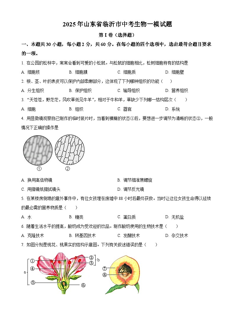 2025年山东省临沂市中考一模生物试题（原卷版+解析版）第1页