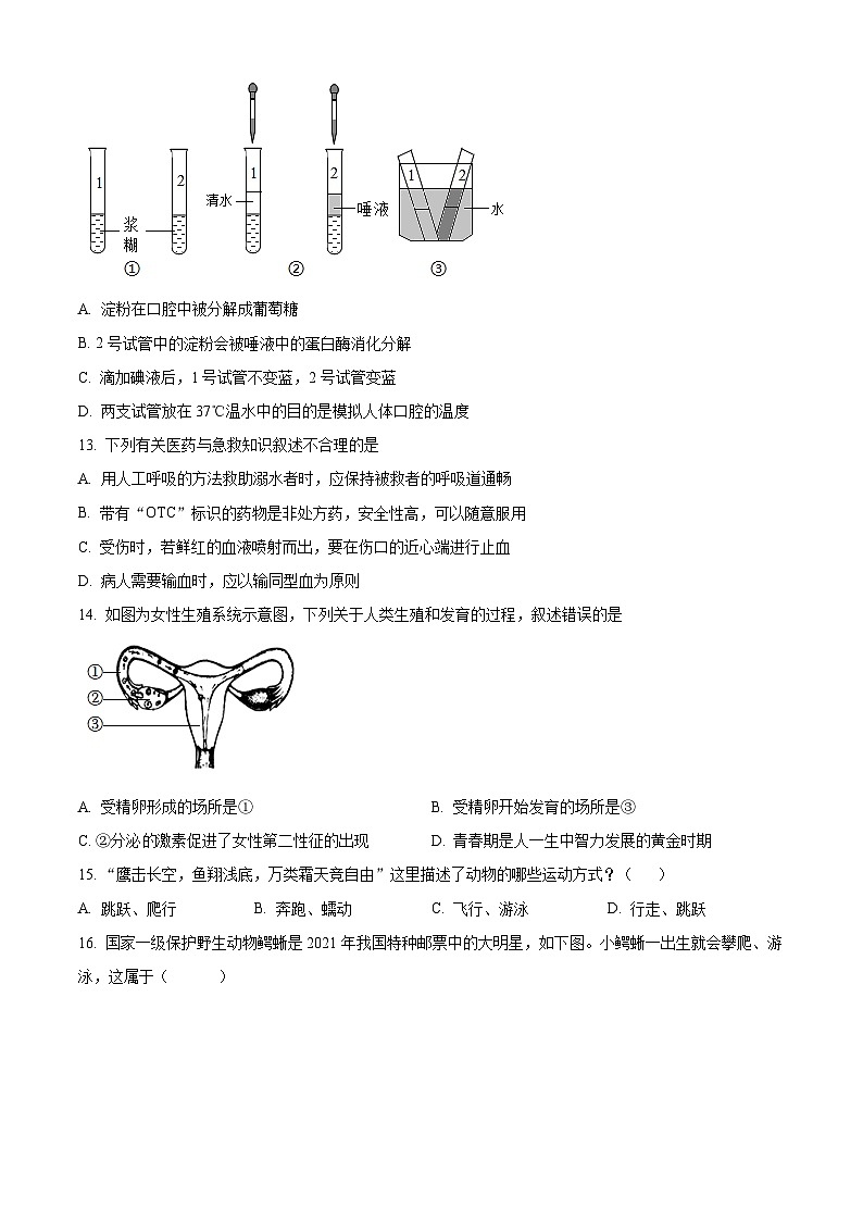 2025年山东省临沂市中考一模生物试题（原卷版+解析版）第3页