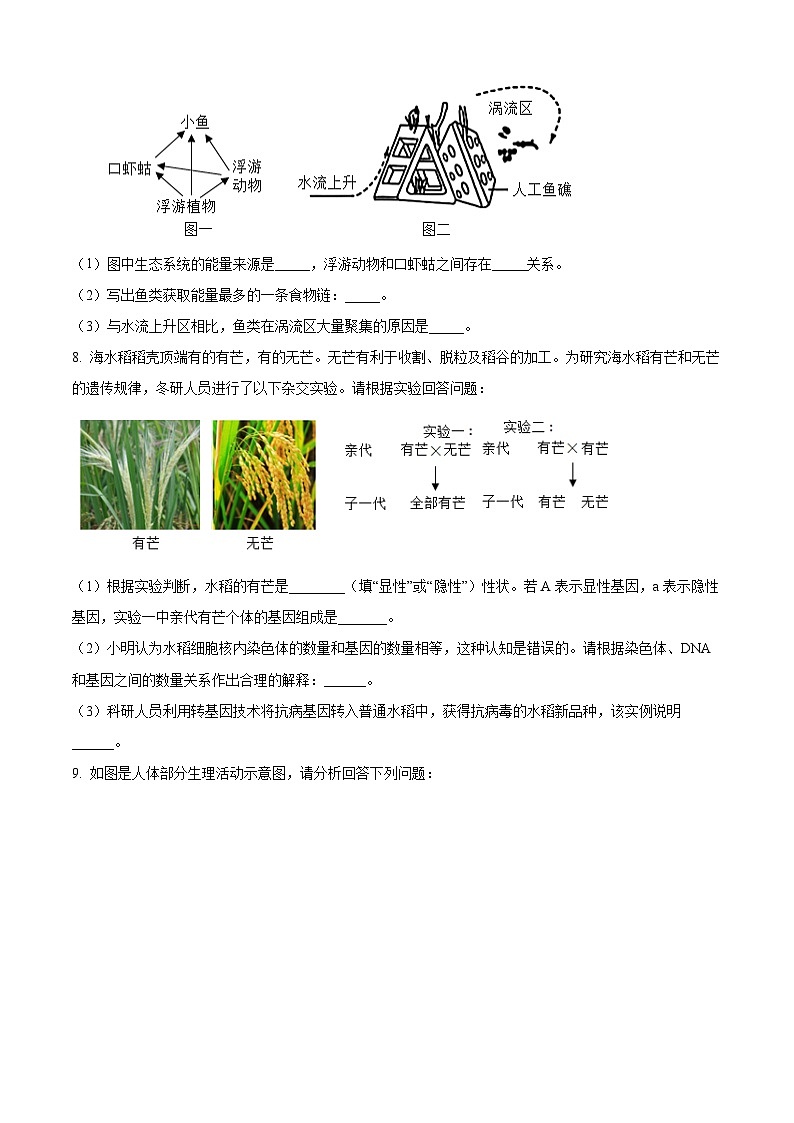 2025年四川省泸州市龙马潭区五校中考一模生物试题（原卷版+解析版）第3页