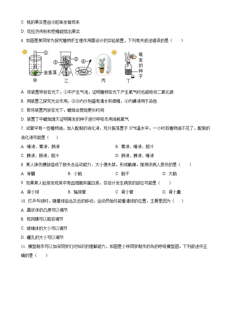 2025年四川省绵阳市安州区八年级中考一模生物试题（原卷版+解析版）第2页