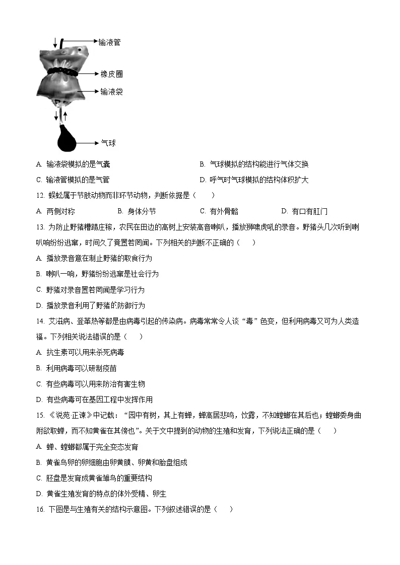 2025年四川省绵阳市安州区八年级中考一模生物试题（原卷版+解析版）第3页