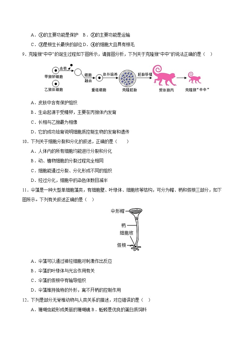 2025年中考第一次模拟考试题：生物（全国卷）（原卷版）第3页
