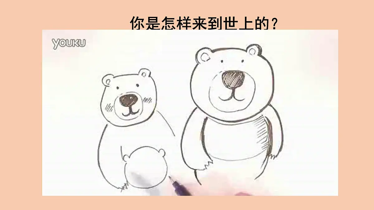 人教版初中七年级下册4.1.1 人的生殖 课件第2页