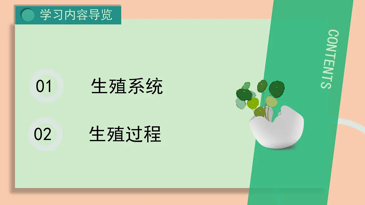 人教版初中七年级下册4.1.1 人的生殖 课件第3页
