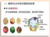 人教版初中生物七下3.2.4《植物在自然界中的作用》课件