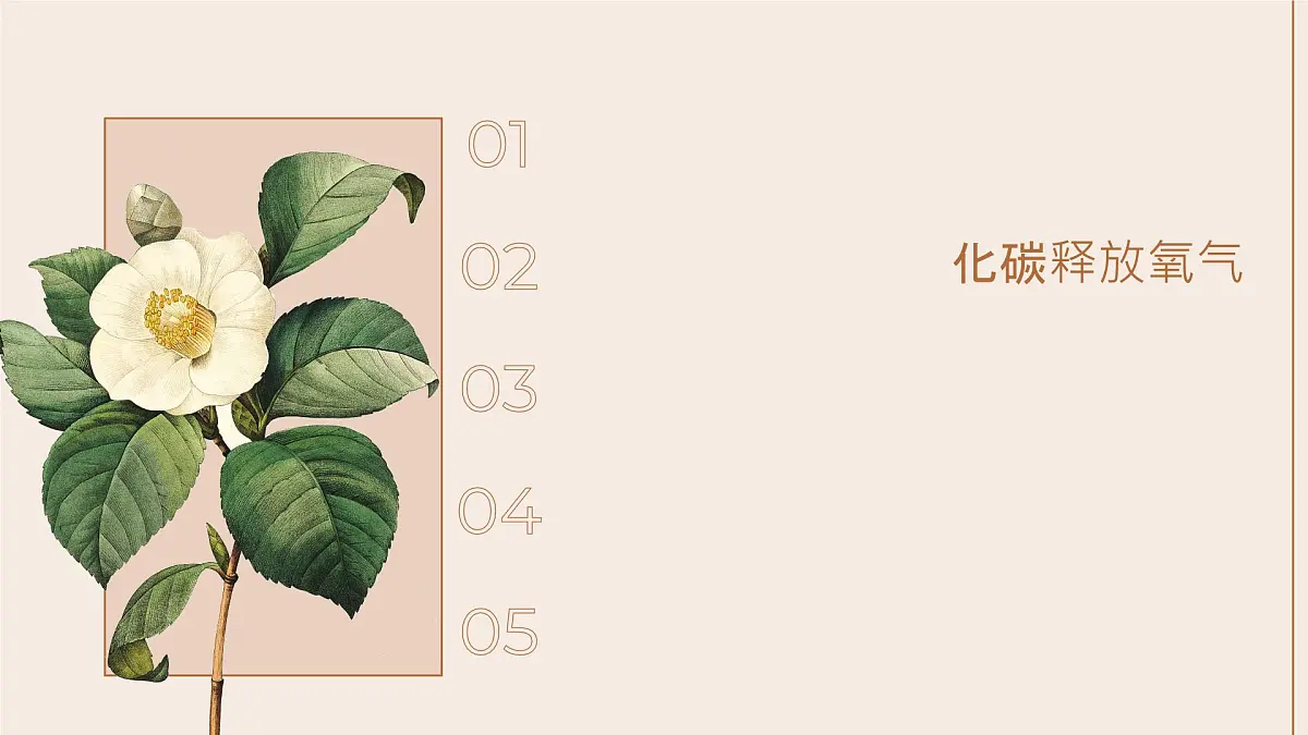 3.2.2 光合作用- 2025学年七年级生物下册（人教版2024） 课件第3页