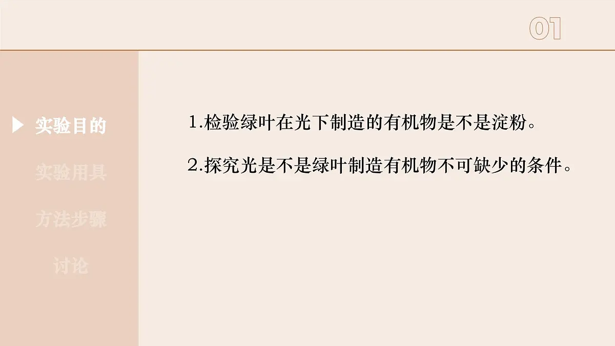 3.2.2 光合作用- 2025学年七年级生物下册（人教版2024） 课件第5页