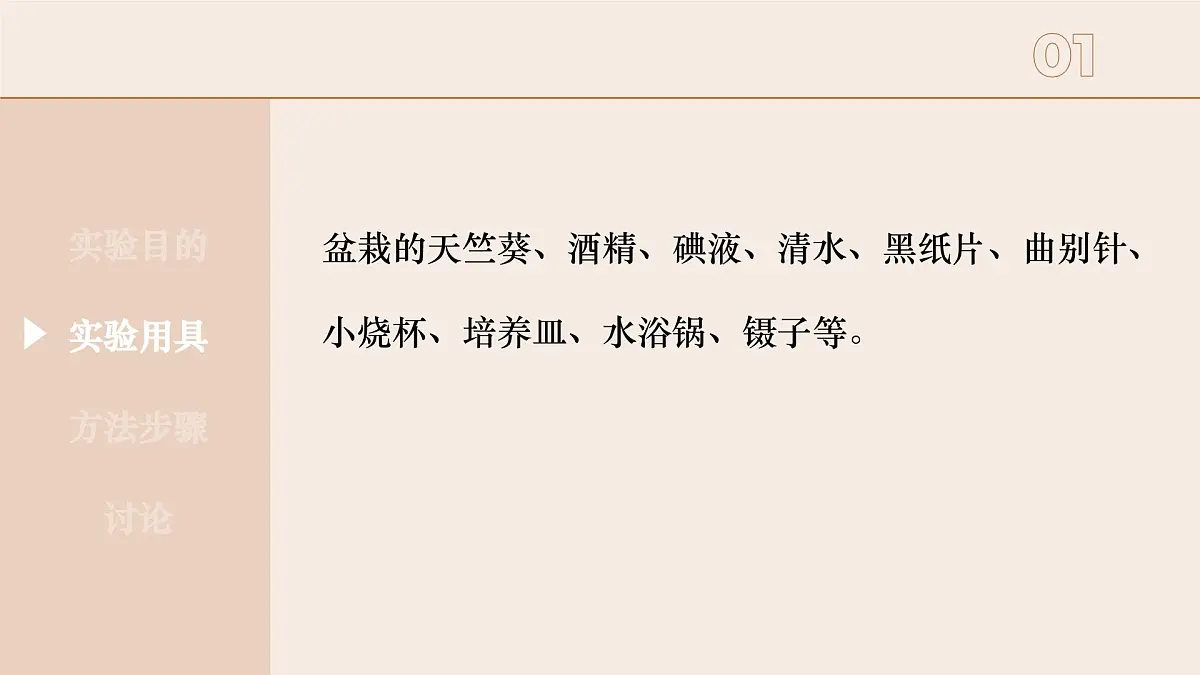 3.2.2 光合作用- 2025学年七年级生物下册（人教版2024） 课件第6页