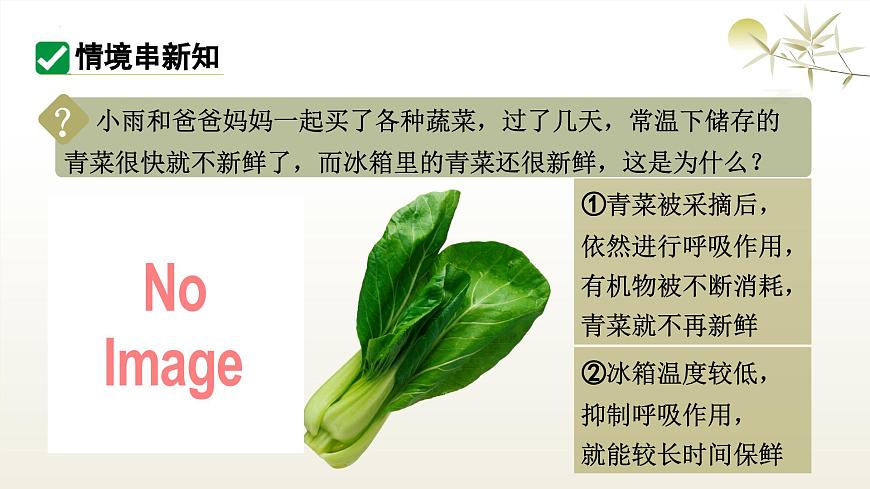 3.2.3 呼吸作用 课件-2024-2025学年人教版生物学七年级下册第3页