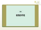 3.2.3 呼吸作用 课件-2024-2025学年人教版生物学七年级下册