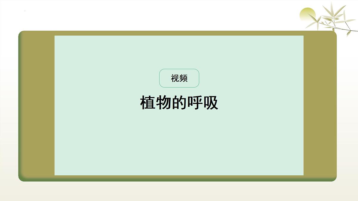 3.2.3 呼吸作用 课件-2024-2025学年人教版生物学七年级下册第5页