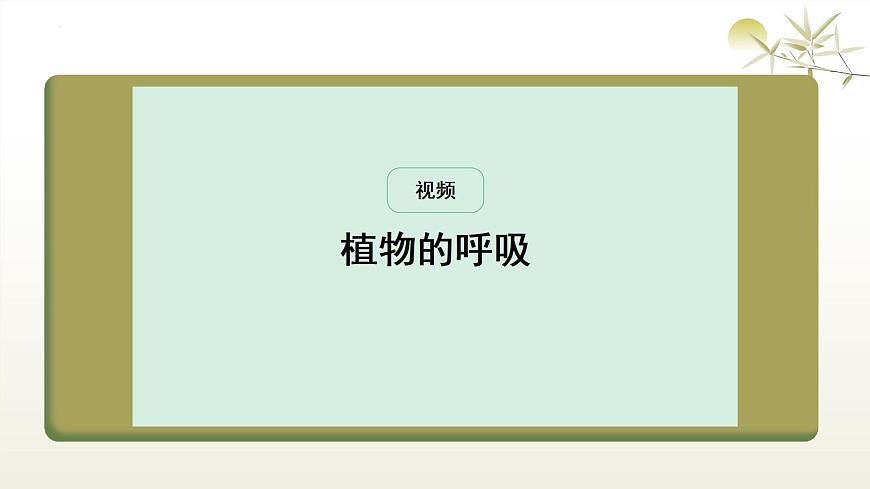 3.2.3 呼吸作用 课件-2024-2025学年人教版生物学七年级下册第5页