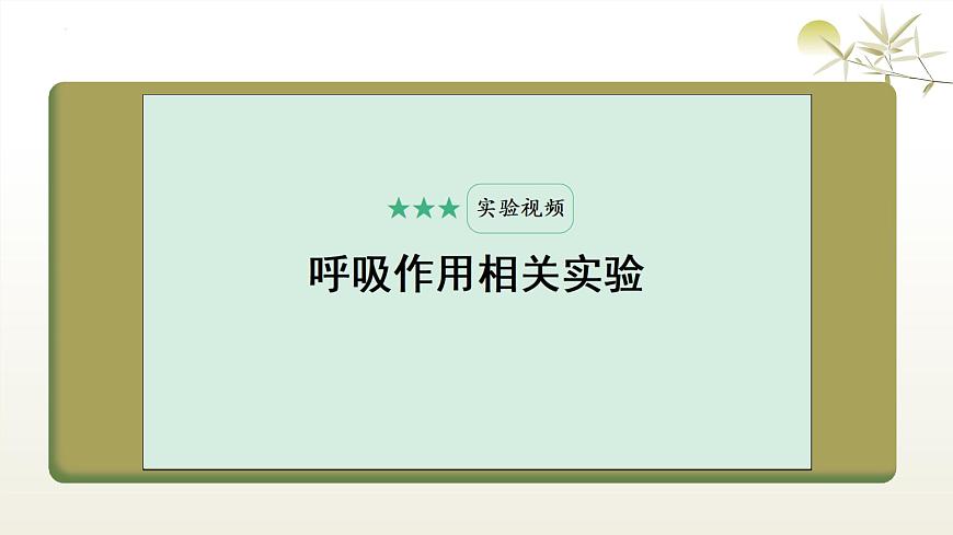 3.2.3 呼吸作用 课件-2024-2025学年人教版生物学七年级下册第7页
