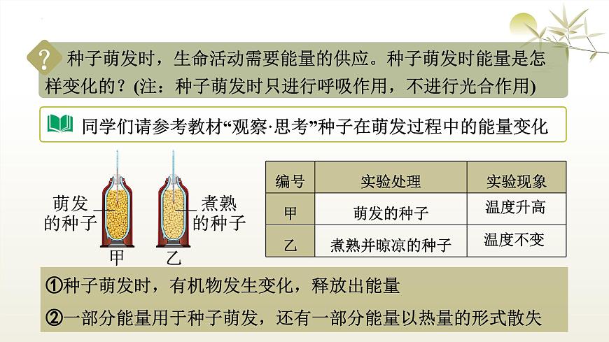 3.2.3 呼吸作用 课件-2024-2025学年人教版生物学七年级下册第8页