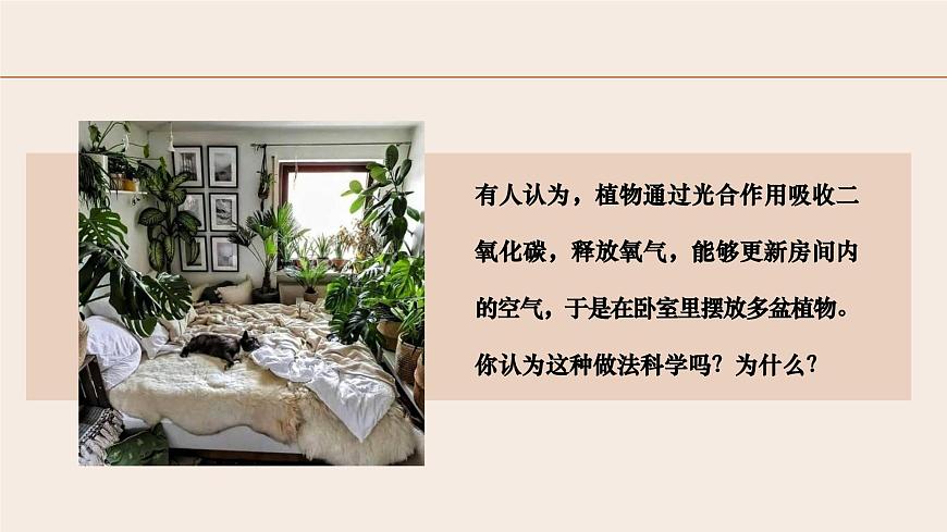 3.2.3 呼吸作用-2024-2025学年七年级生物下册（人教版2024） 课件第1页